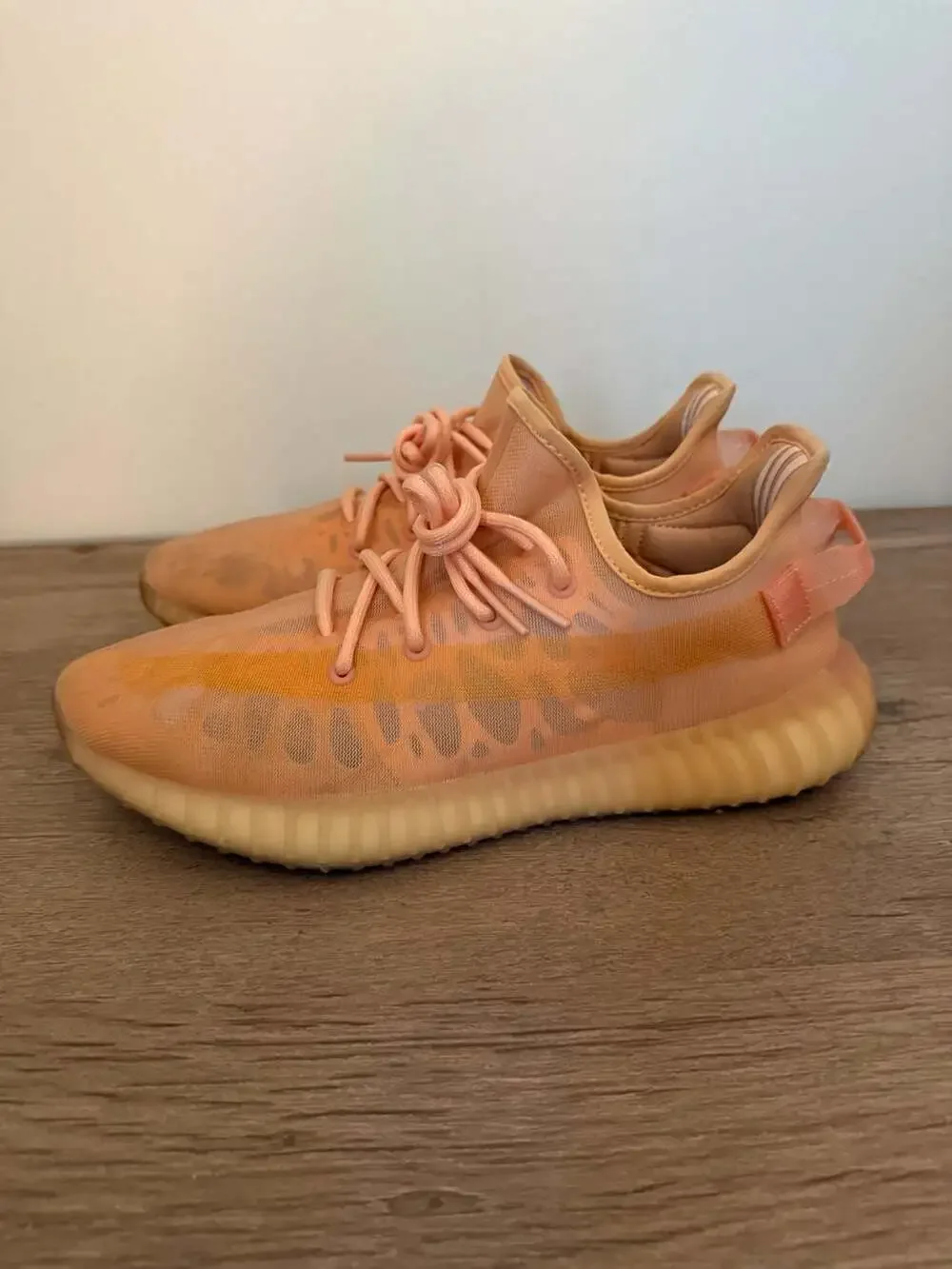 Adidas Yeezy Boost 350 V2 Mono Clay GW2870